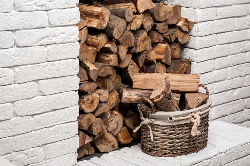 Drewno do kominka – rodzaje drewna, ceny, opinie, jak wybrać drewno?