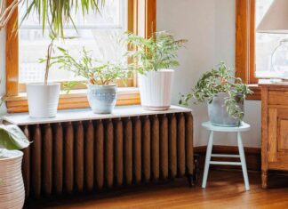 Як зберегти тепло в домі: 11 практичних порад для зимового комфорту