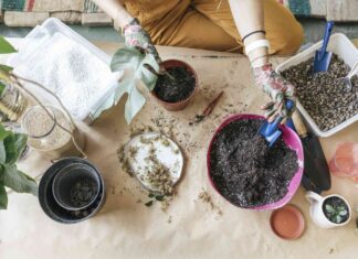 Правильний грунт має вирішальне значення для кімнатних рослин